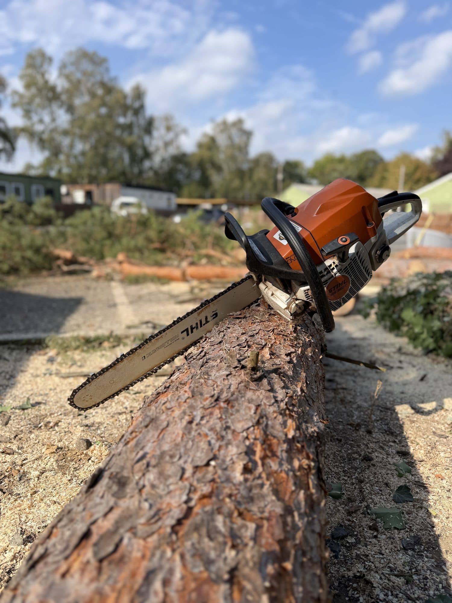 Tree surgery work by GroundCore Contractors